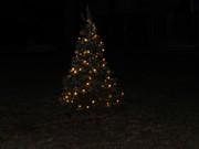 Rozsvícení vánočního stromku u školky